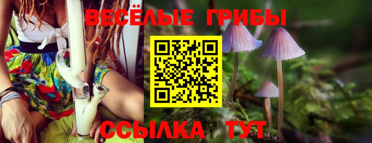 Свободный  Псилоцибиновые грибы ЛСД  Вход с VPN  как найти закладки  Псилоцибиновые грибы Cubensis 