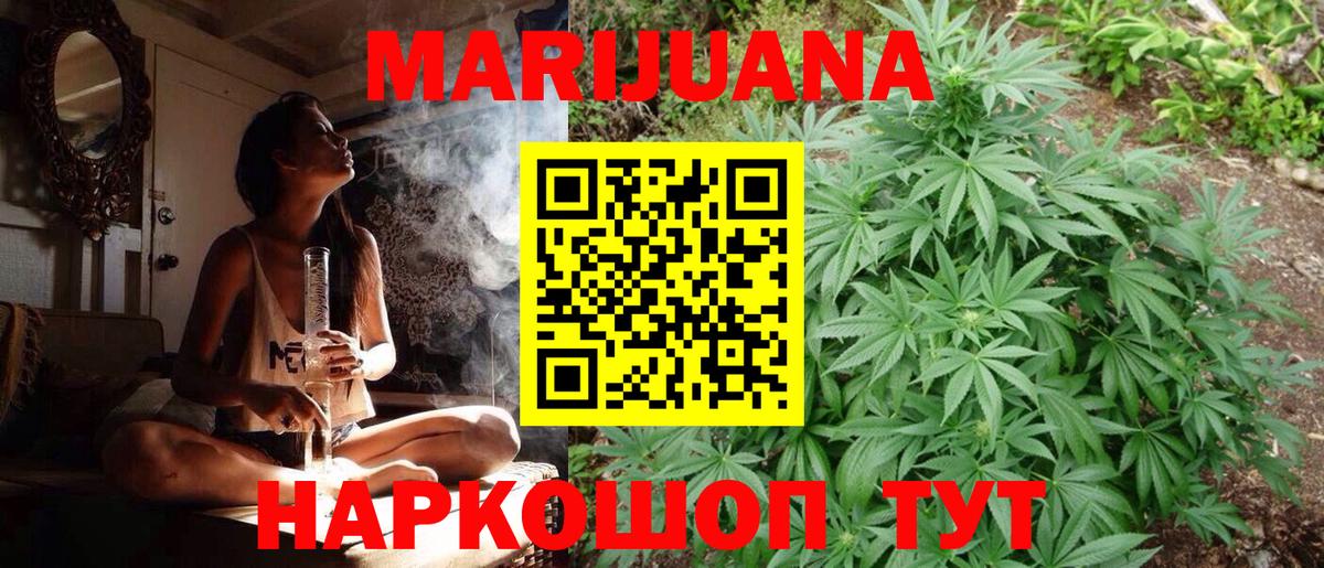 Марихуана OG Kush  Вход с VPN  Каннабис планчик  Свободный  МАРИХУАНА OG Kush 